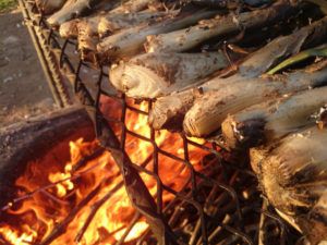 Calçots cuits MAJOLS Natura